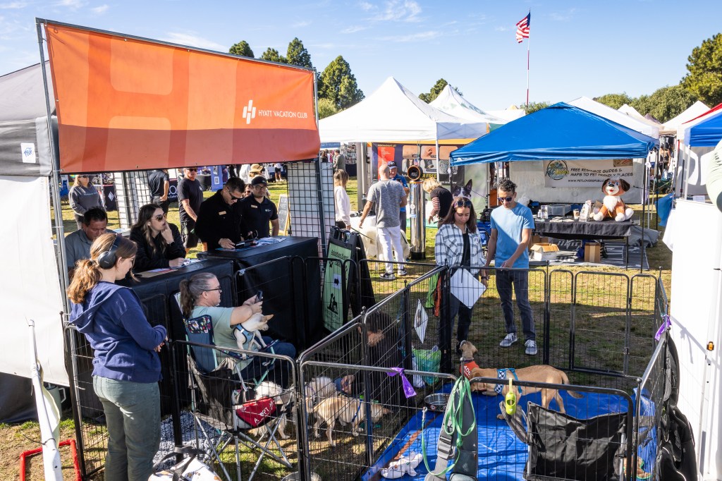 From Winter Wonderland Fashion Show to Doggie Street Festival – San Diego Union-Tribune