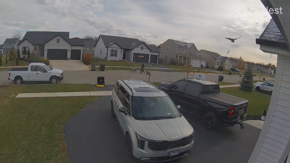 Video sent to WIFR from Veteran Scott Hamm of Genoa captures the startling moment a Bald Eagle...