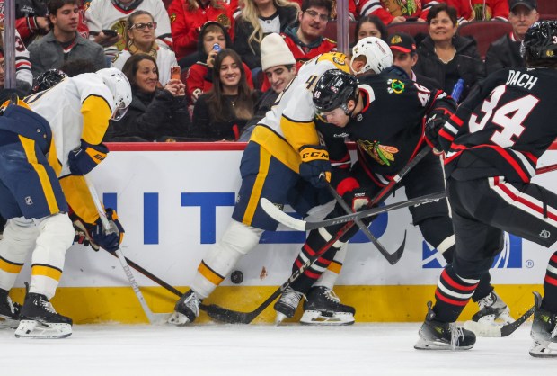 Blackhawks defenseman Louis Crevier (46) and Nashville Predators left wing Reid Schaefer (49) battle for the puck during the first period, Nov. 28, 2025, at the United Center. (Dominic Di Palermo/Chicago Tribune)
