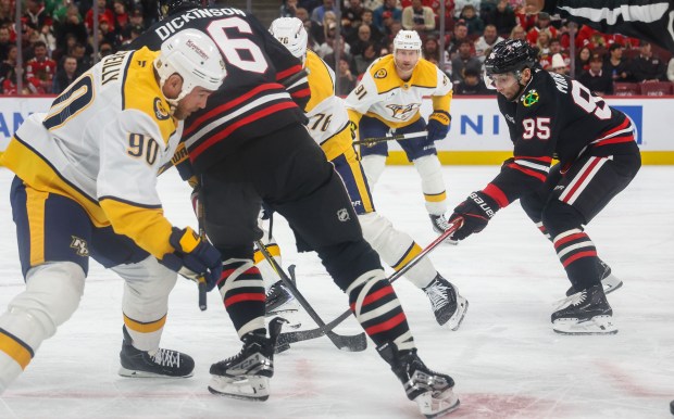 Blackhawks right wing Ilya Mikheyev (95) grabs the puck after a face-off during the first period against the Nashville Predators, Nov. 28, 2025, at the United Center. (Dominic Di Palermo/Chicago Tribune)