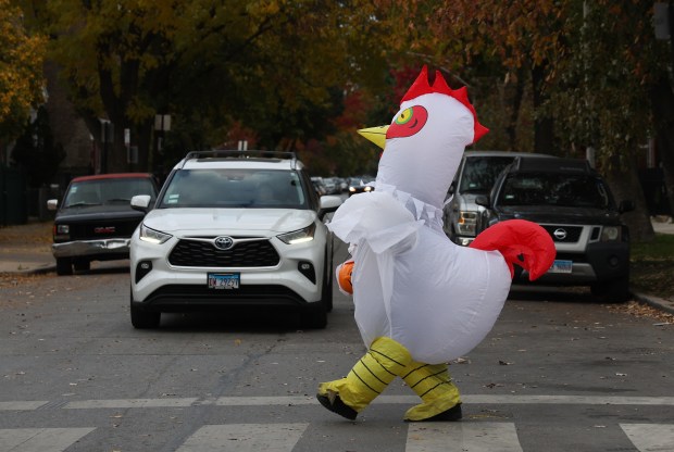 A trick-or-treater dressed in a chicken inflatable costume walks on West 26th Street in the Little Village neighborhood on Halloween, Oct. 31, 2025, in Chicago. (John J. Kim/Chicago Tribune)