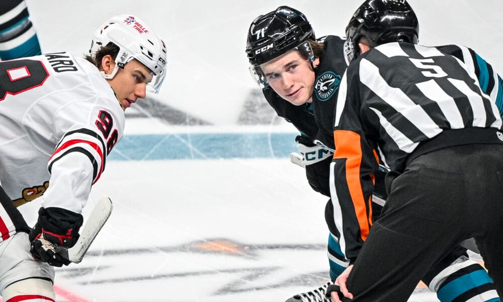 SJHN Daily: WillMack Hijinks Revealed, Celebrini-Bedard Friendship, Last Judi Jupiter Video