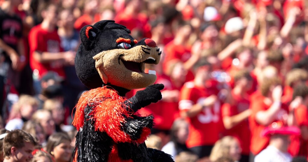 Cincinnati Bearcats mascot