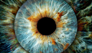 New Breakthrough Could Help Prevent The Devastating Impact of Glaucoma : ScienceAlert