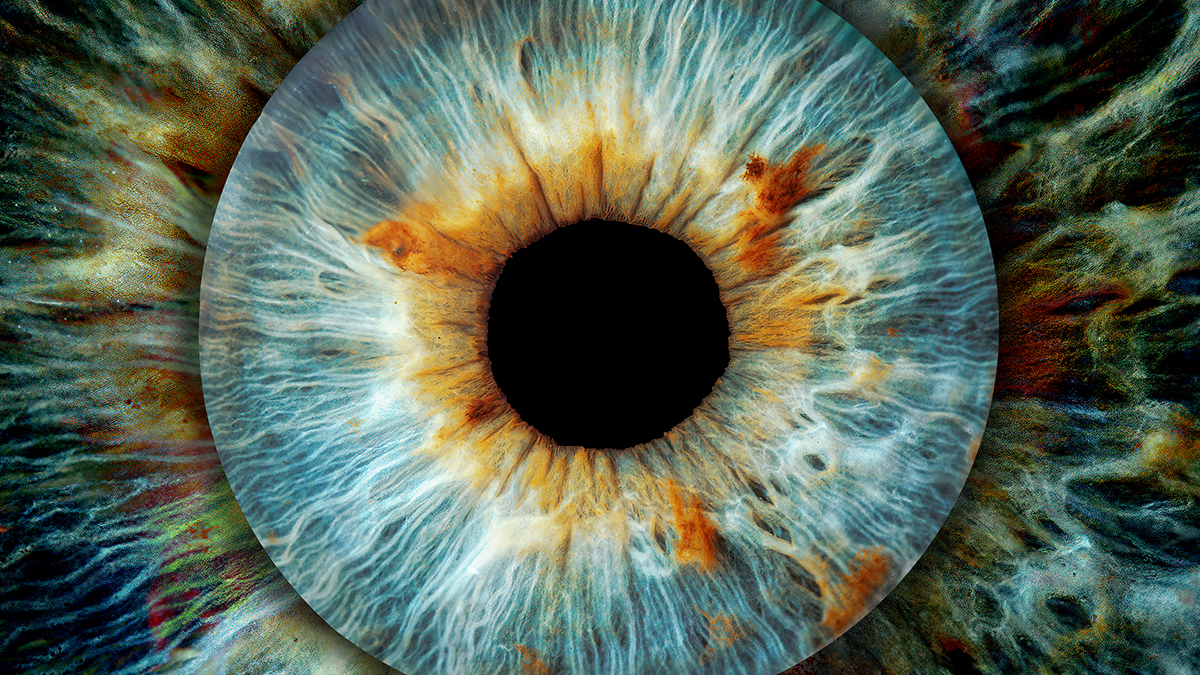 New Breakthrough Could Help Prevent The Devastating Impact of Glaucoma : ScienceAlert