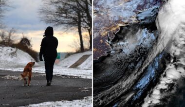 Polar vortex sends arctic blast into New York, putting tri-state under freeze warning