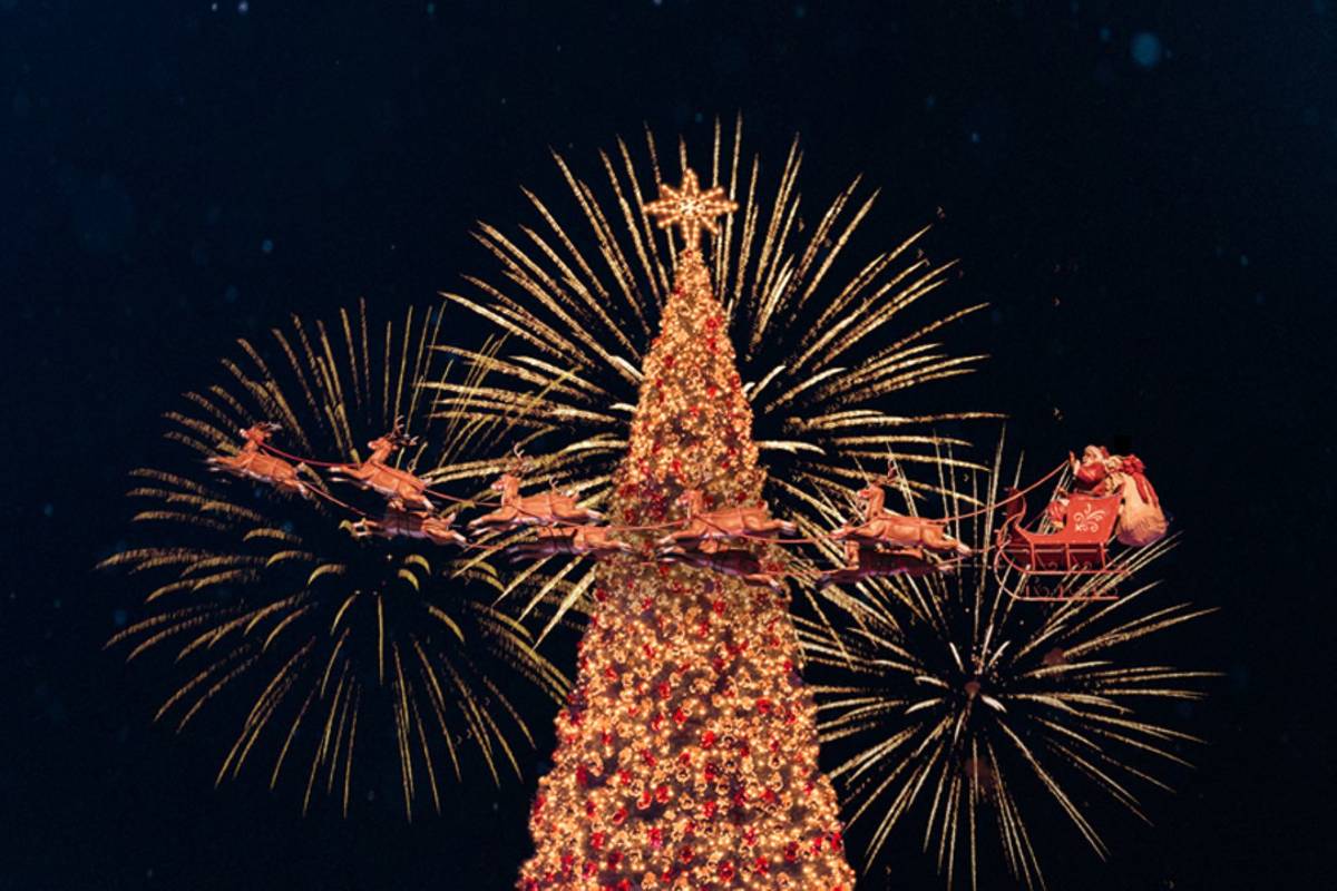 The Iconic 100-Foot Christmas Tree Is Up At The Grove — Prepare For The Annual Tree Lighting This Month