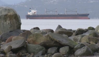 Alberta gov’t reaction to B.C. premier, Indigenous leaders calling for oil tanker ban to remain - CTV News