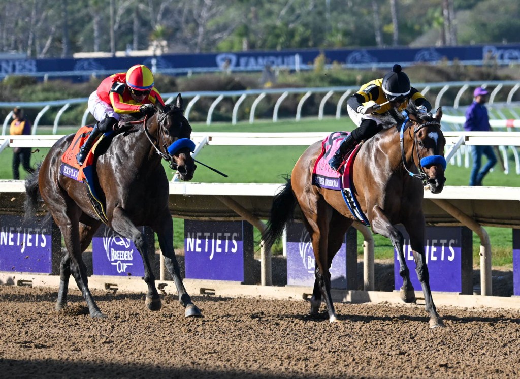 Breeders’ Cup featured several competitors with local ties – San Diego Union-Tribune