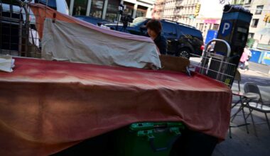 ICE crashes NYPD vendor raid in Chinatown, making at least one arrest: sources