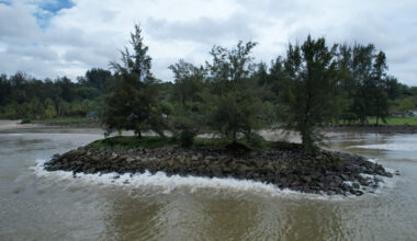 Scientists recently discovered three previously unknown species on Dauan Island, a tiny, remote stretch of land in Australia's Torres Strait.