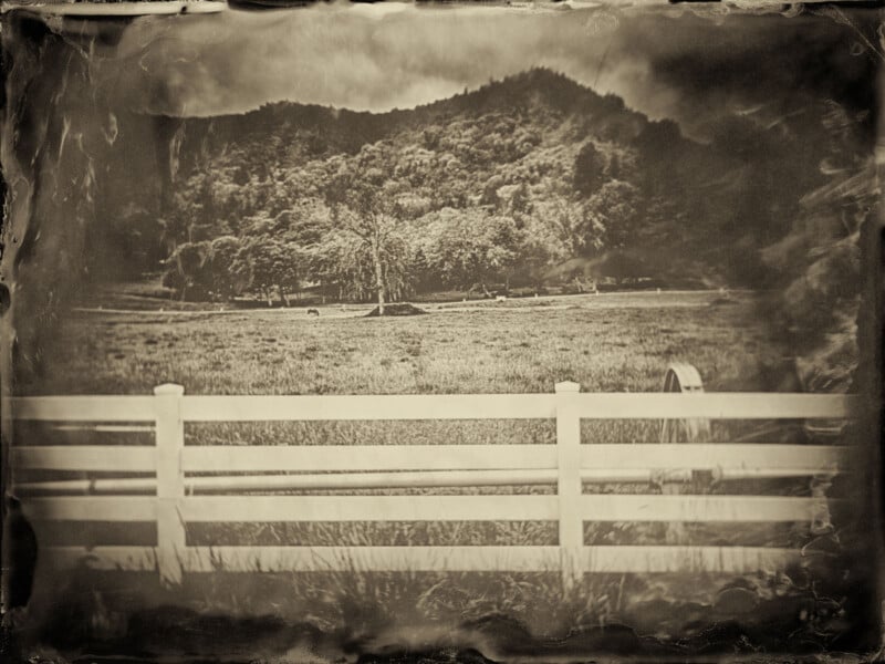 Sepia-toned photo of a wooden fence in front of a grassy field with grazing animals, trees, and a forested hill in the background. The image has a vintage, faded appearance.