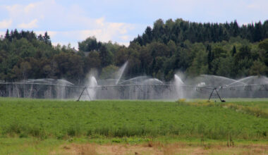 Maine drought declared disaster by USDA