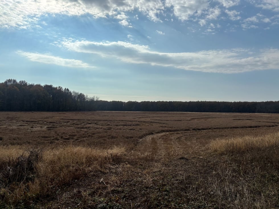 Without the pump, most of the moist-soil unit acreage at Ed Gordon Point Remove WMA will need...