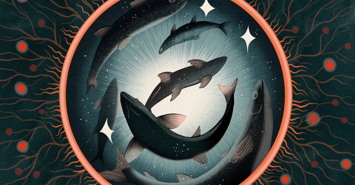 Can fish feel pain? That may be the wrong question.