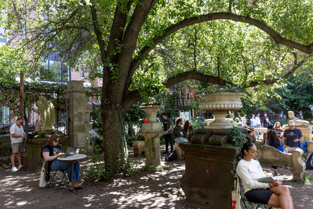 Eric Adams, Zohran Mamdani Battle Over Beloved Art Garden in New York