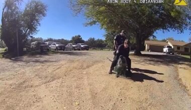Watch: Emu named Frank captured after 2 days on the loose in Arizona