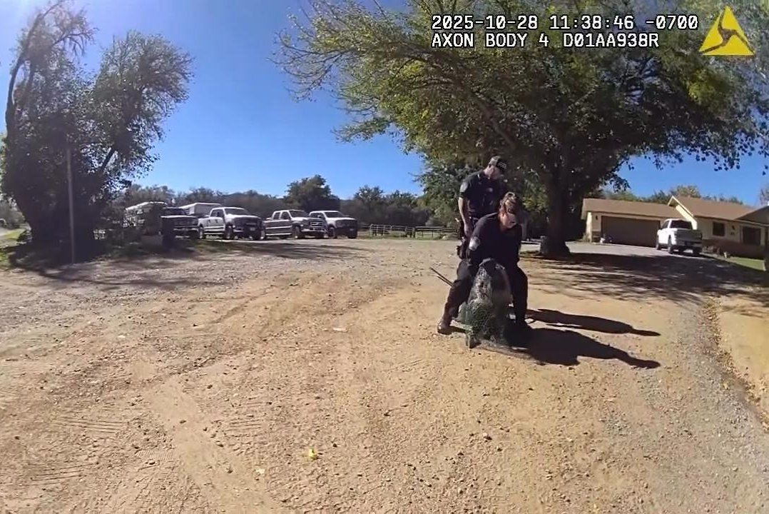 Watch: Emu named Frank captured after 2 days on the loose in Arizona