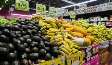 Chinese New Yorkers hit hard by SNAP interruption