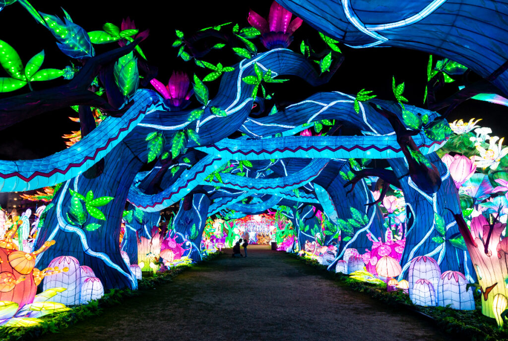 Image shows the snake-themed light tunnel at Tianyu Lights Festival.
