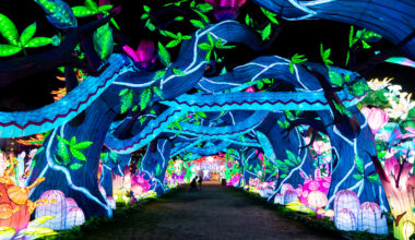 10 Of The Most Fantastic Displays Of Christmas Lights Dallas Has To Offer