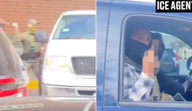 Ricardo Mendez, Employee of Trump-Supporting Superstore Menards, Fired for Filming Brutal DHS Raid in Cicero