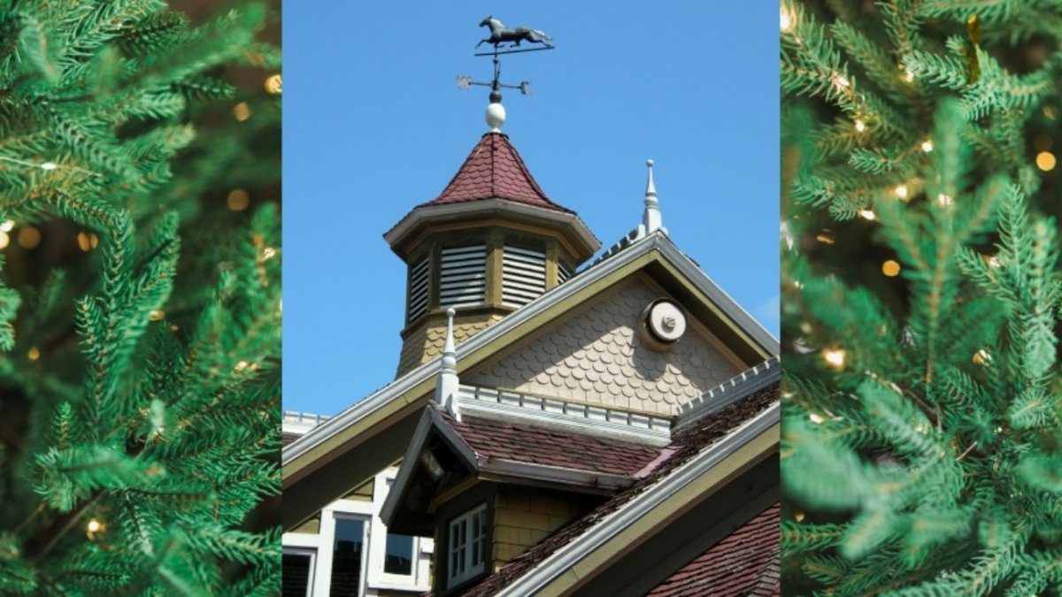 Yuletide traditions, and a quirky Oddities Market, will festoon this spooky icon – NBC Los Angeles