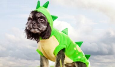 A day out for dogs — and dinosaurs — is trotting into Costa Mesa – NBC Los Angeles