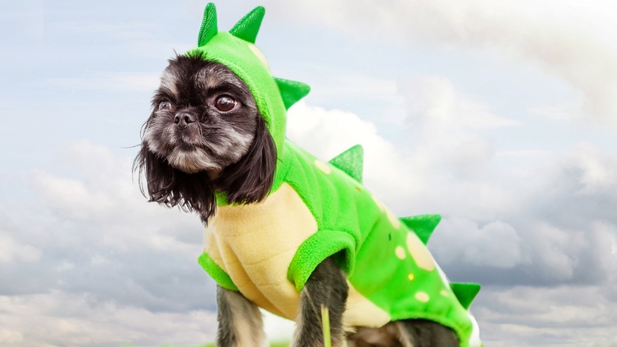 A day out for dogs — and dinosaurs — is trotting into Costa Mesa – NBC Los Angeles