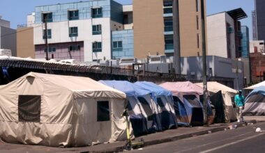 New initiative looks to curb animal cruelty on Skid Row – NBC Los Angeles