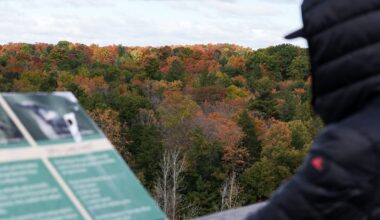 Family rescued after getting lost on a hike in GTA park
