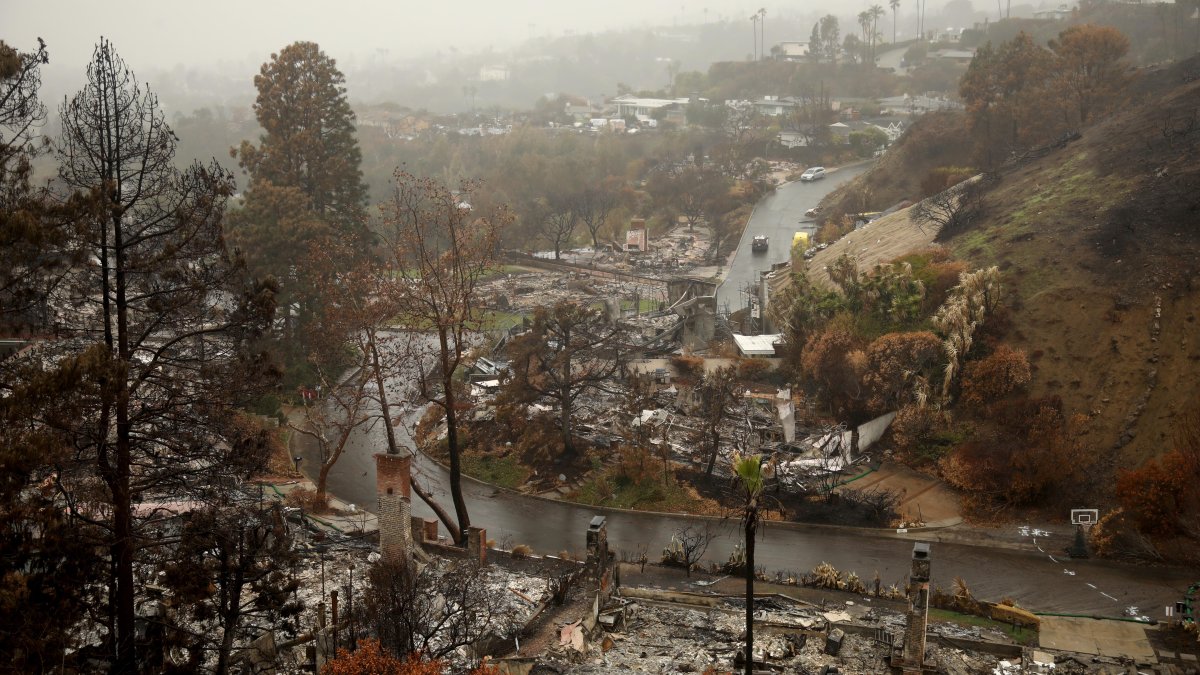 Anonymous letter shreds LA’s review of Palisades Fire – NBC Los Angeles