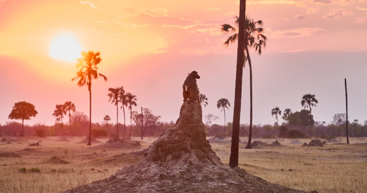 EU countries agree weakened 2040 climate goal and target for COP30  – POLITICO