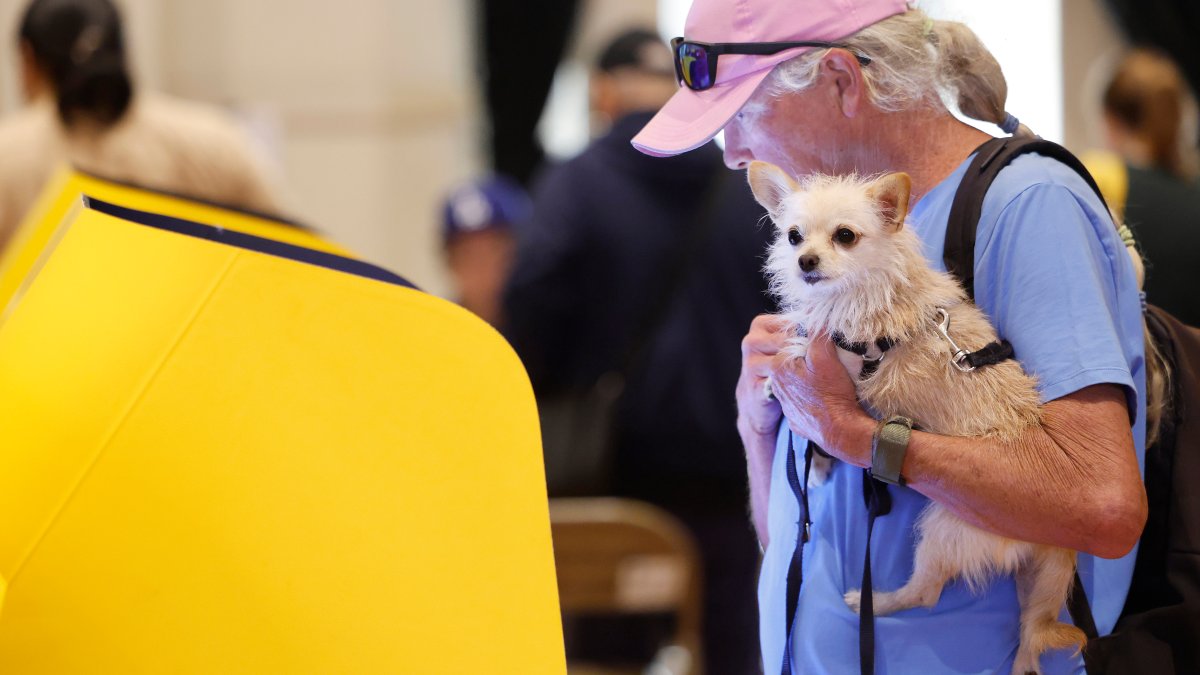 Where to vote on Prop 50 Election Day in California – NBC Los Angeles