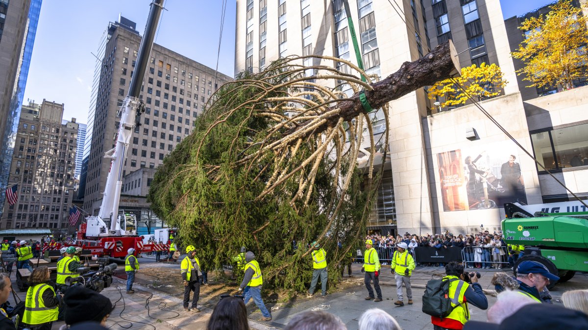 Rockefeller Center Christmas tree arrives in New York City – NBC New York
