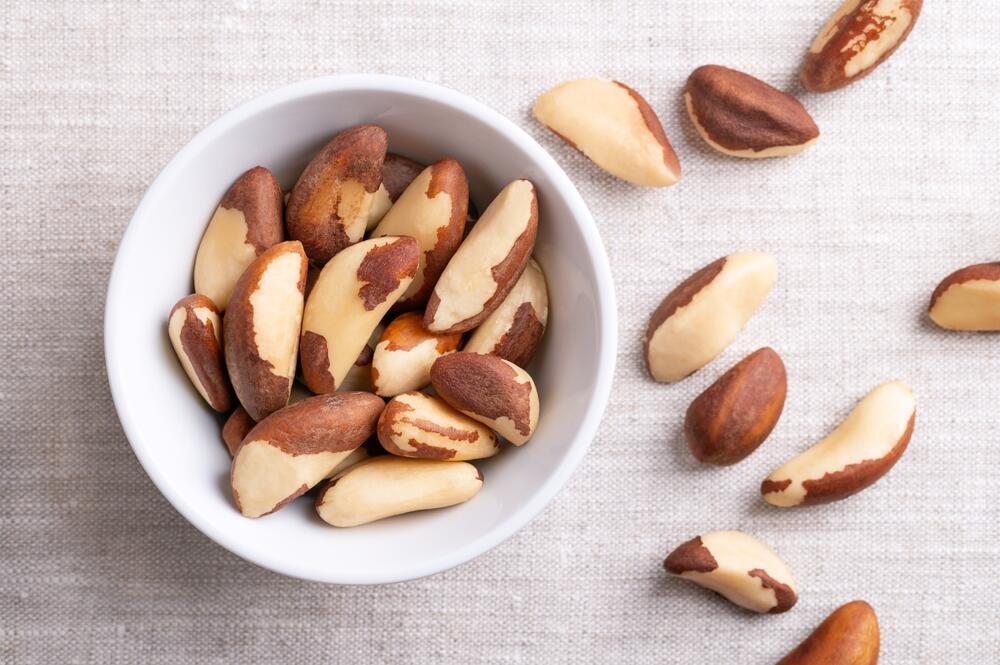 Brazil, where the nuts come from (Photo: shutterstock) אגוזי ברזיל