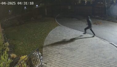 Police investigating after video shows North York synagogue being vandalized for 10th time this year - CTV News