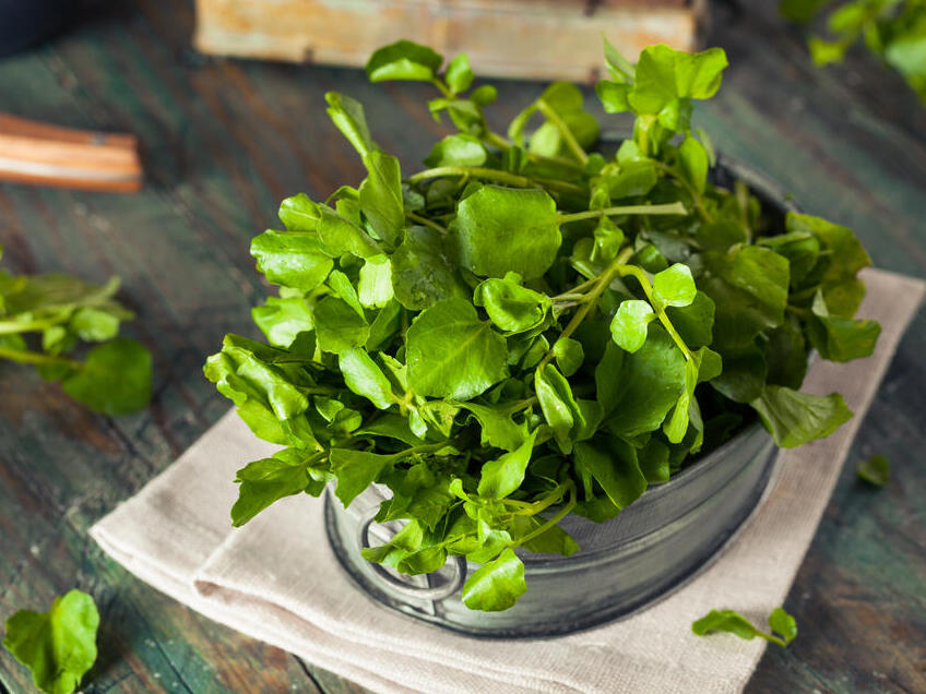Watercress, the healthiest vegetable in the world (Photo: shutterstock) גרגר הנחלים