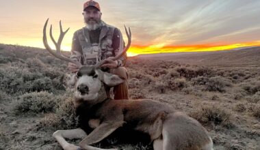 Cowboy State Daily logo