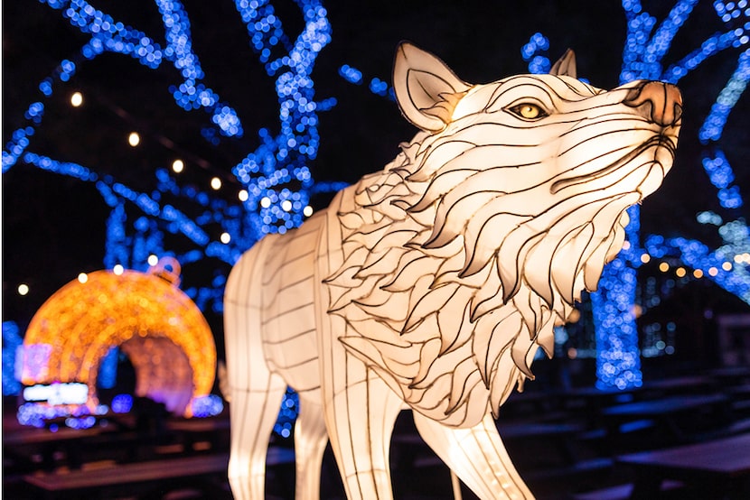 Dallas Zoo Lights features more than 2 million lights, glowing animals and photo ops...
