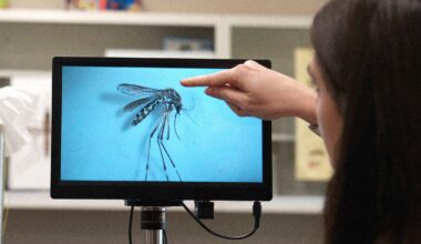 An Invasive Disease-Carrying Mosquito Has Spread to the Rocky Mountains