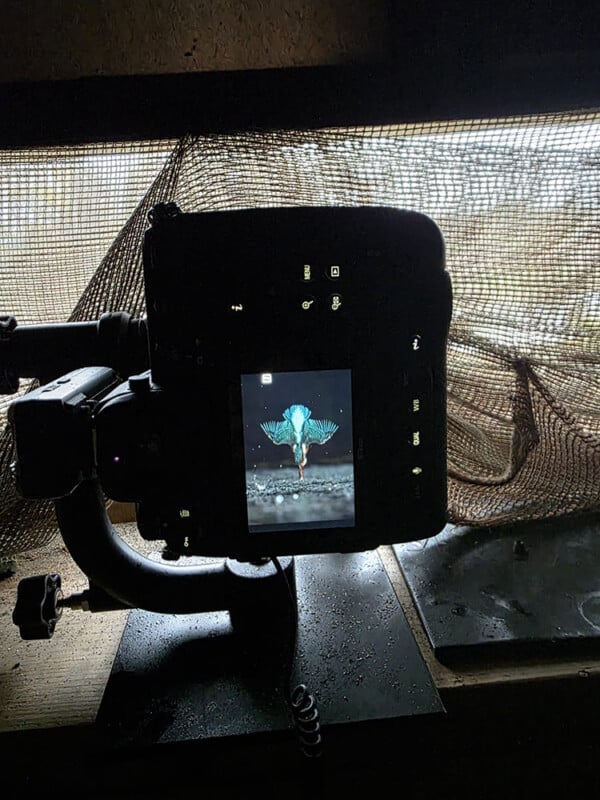 A digital camera displays a close-up photo of a colorful bird on its screen, set up on a tripod indoors near a mesh-covered window with natural light filtering through.