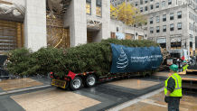 The 2025 Rockefeller Center Christmas arrives on Saturday, November 8, 2025.