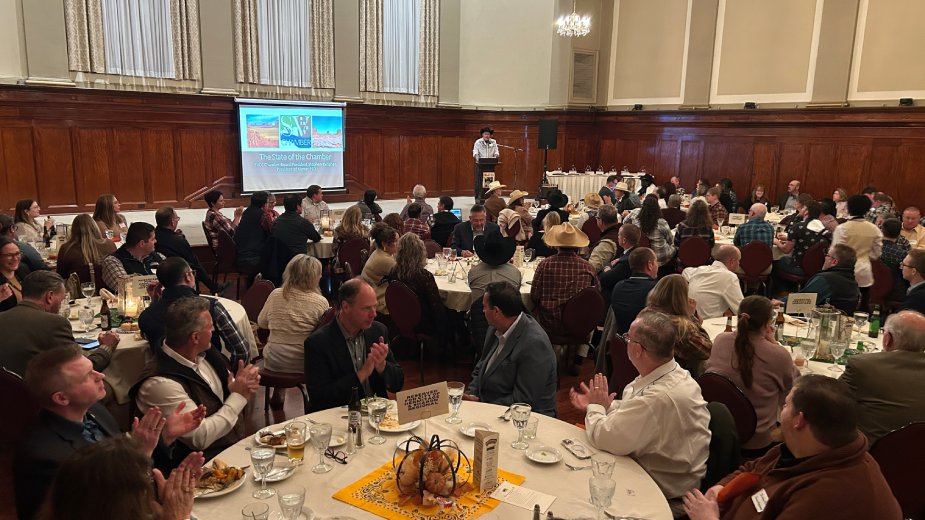 Shenango Valley Chamber of Commerce Phoenix Awards, 2025, Sharon, Pennsylvania