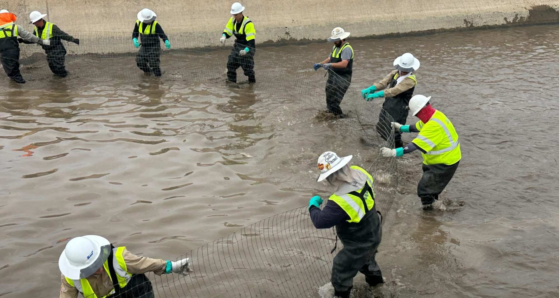 SRP launches “Southside Dry-Up”, relocating white amur fish and clearing Valley waterways for repair
