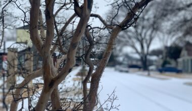 Still have damage from the 2021 winter storm? There’s federal money available to help