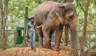 After visit to Vantara, global wildlife committee recommends India pause animal import