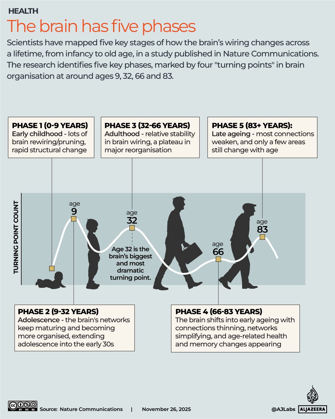 INTERACTIVE - BRAIN PHASES - NOV26, 2025-1764155777