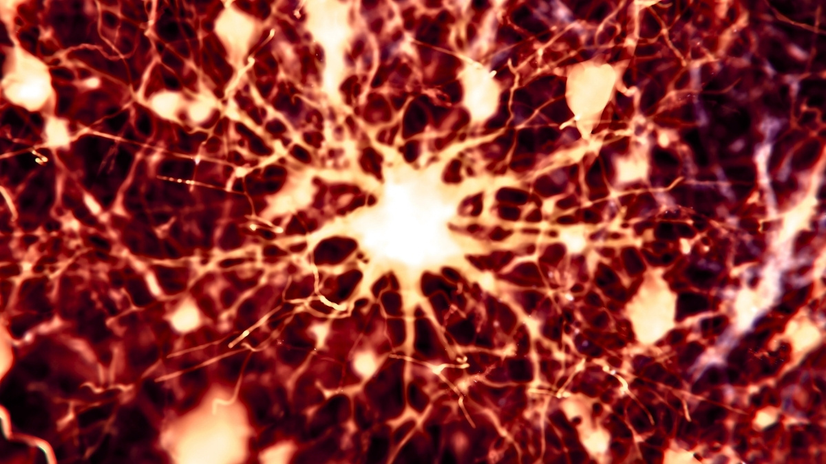 Scientists Found 2 Existing Drugs Can Reverse Alzheimer's Brain Damage in Mice : ScienceAlert