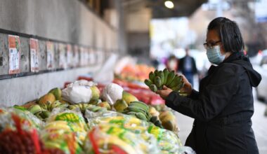 New York Gets Serious About Food Prices